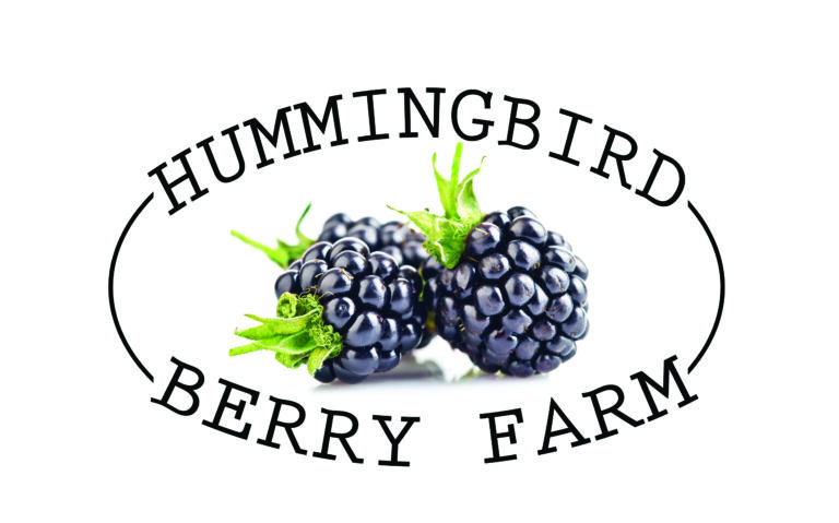 Hummingbirdlogoredo-final-penny